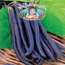 Mr Fothergills Amethyst Dwarf Bean Seeds
