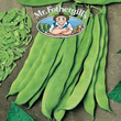 Mr Fothergills Artemis Dwarf Bean Seeds