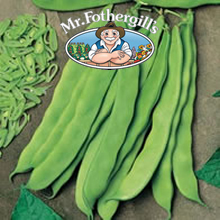 Mr Fothergills Artemis Dwarf Bean Seeds