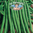 Mr Fothergills Baritone Dwarf Bean Seeds