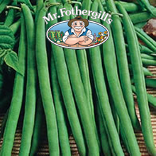 Mr Fothergills Baritone Dwarf Bean Seeds