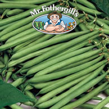 Mr Fothergills Calgary Dwarf Bean Seeds