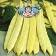 Mr Fothergills Capitano Dwarf Bean Seeds