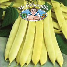 Mr Fothergills Capitano Dwarf Bean Seeds