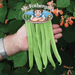 Mr Fothergills Celebration Runner Bean Seeds