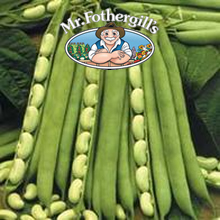 Mr Fothergills Flageolet Dwarf Bean Seeds