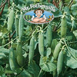 Mr Fothergills Jaguar Pea Seeds