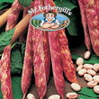 Mr Fothergills Jiminez Climbing Bean Seeds