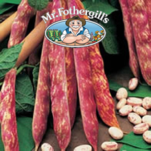 Mr Fothergills Jiminez Climbing Bean Seeds