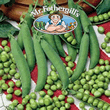 Mr Fothergills Linnet (Petit Pois) Pea Seeds