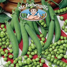 Mr Fothergills Linnet (Petit Pois) Pea Seeds