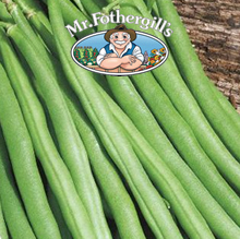 Mr Fothergills Matilda Climbing Bean Seeds