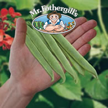 Mr Fothergills Minnow Runner Bean Seeds