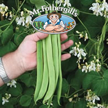 Mr Fothergills Moonlight Runner Bean Seeds