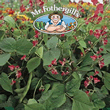 Mr Fothergills Pickwick (Dwarf) Runner Bean Seeds
