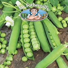 Mr Fothergills Prevail Pea Seeds