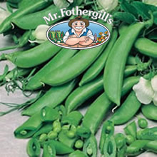 Mr Fothergills Quartz (Snap) Pea Seeds