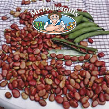Mr Fothergills Red Epicure Broad Bean Seeds