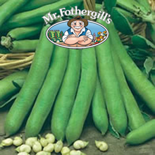 Mr Fothergills Talia Broad Bean Seeds
