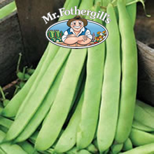Mr Fothergills Tamara Climbing Bean Seeds