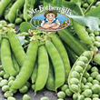 Mr Fothergills Twinkle Pea Seeds