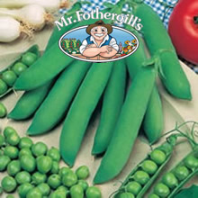 Mr Fothergills Zephyr Pea Seeds
