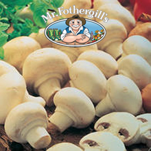 Marvellous Mushrooms White Button