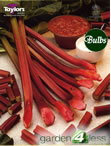 Rhubarb Champagne
