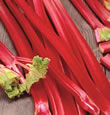 Rhubarb Crown Holsteiner