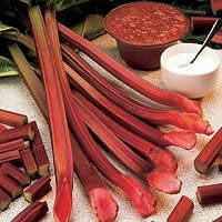 Rhubarb Red Champagne - Single Rhubarb Crown
