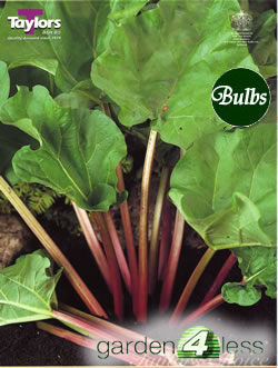 Rhubarb Crown Timperley Early