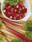 Rhubarb Victoria - Single Rhubarb Crown
