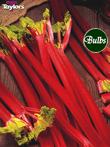 Rhubarb Strawberry