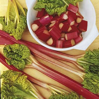 Rhubarb Victoria - Single Rhubarb Crown