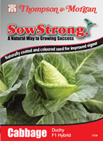 Sow Strong Duchy F1 Hybrid Cabbage Seeds