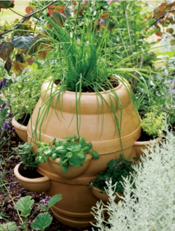 Strawberry Tub Planter