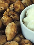Taylors Jerusalem Artichoke Fuseau