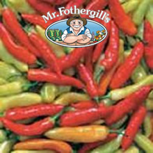 Vegetable Explorer Aji Crystal (Hot) Pepper