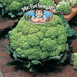 Vegetable Explorer Alverda Cauliflower Seeds
