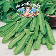 Vegetable Explorer Asparagus Pea Seeds