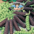 Vegetable Explorer Blauwschokker Pea Seeds