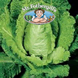 Vegetable Explorer (Savoy) Bloemendaalse Gele Cabbage Vegetable Seeds