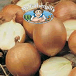Vegetable Explorer Bonus F1 Onion Seeds