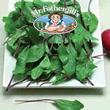 Vegetable Explorer Bordeaux F1 Spinach Seeds