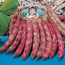Vegetable Explorer Borlotto Dwarf Bean Seeds