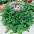 Vegetable Explorer Catalogna Lettuce Seeds