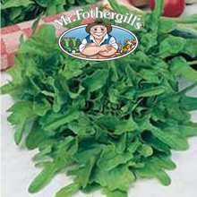 Vegetable Explorer Catalogna Lettuce Seeds