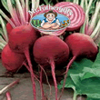 Vegetable Explorer Chioggia Beetroot Seeds