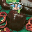 Vegetable Explorer Chocolate (Sweet) Pepper