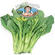 Vegetable Explorer Choi Sum Seeds
